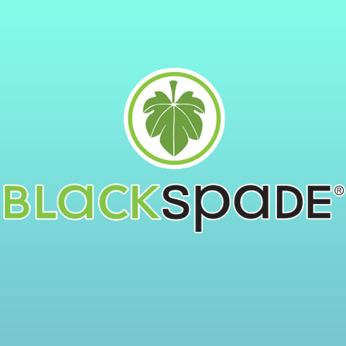 Новый бренд нижнего белья Blackspade скоро в продаже!